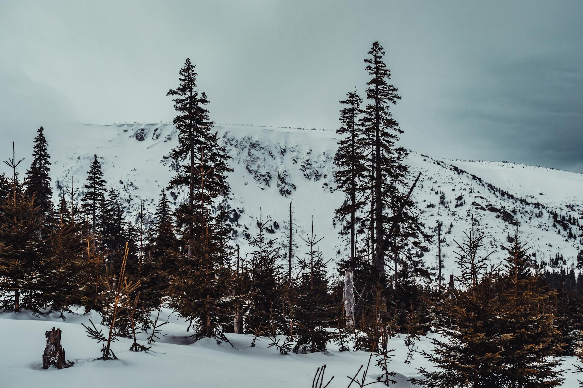 Widok na góry Karkonosze z Karpaczem w tle, symbolizujący piękno przyrody wymagające ochrony.